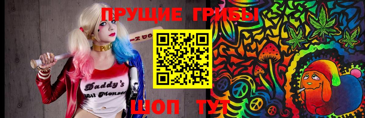 Соликамск  Псилоцибиновые грибы Psilocybine cubensis  Вход с VPN 